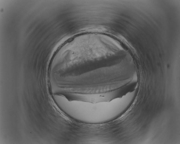 X0000062621240200601111026