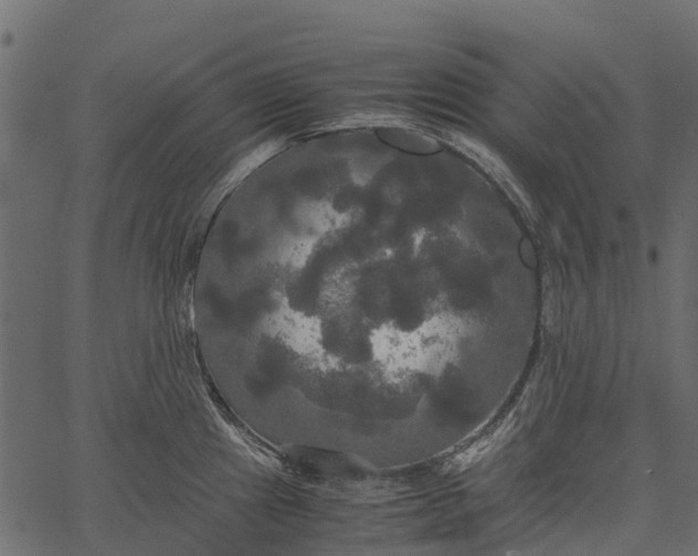 X0000062621241200601111026