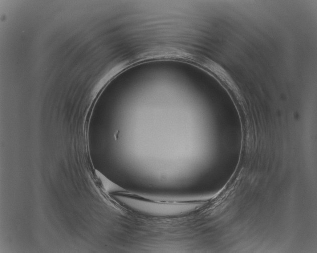 X0000062621242200601111026