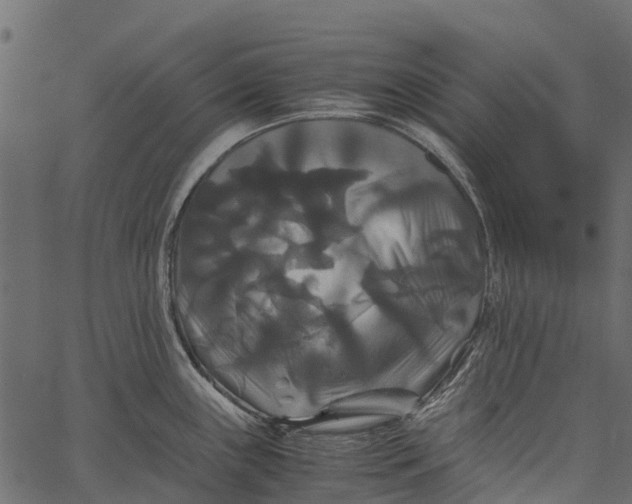 X0000062621243200601111026