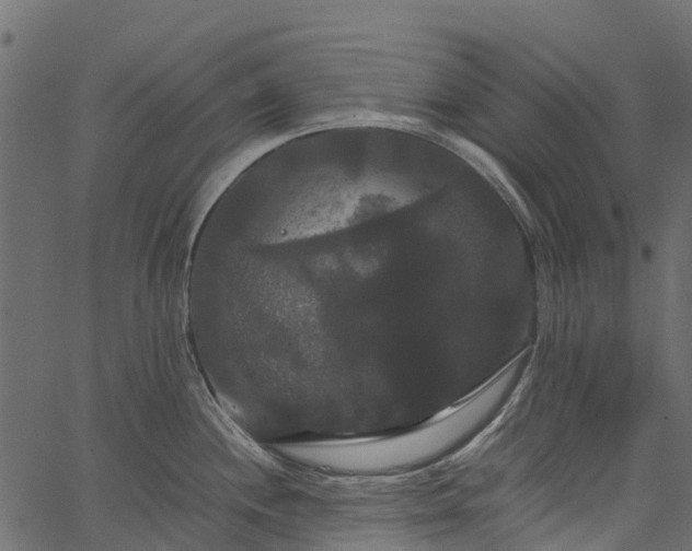 X0000062621244200601111026