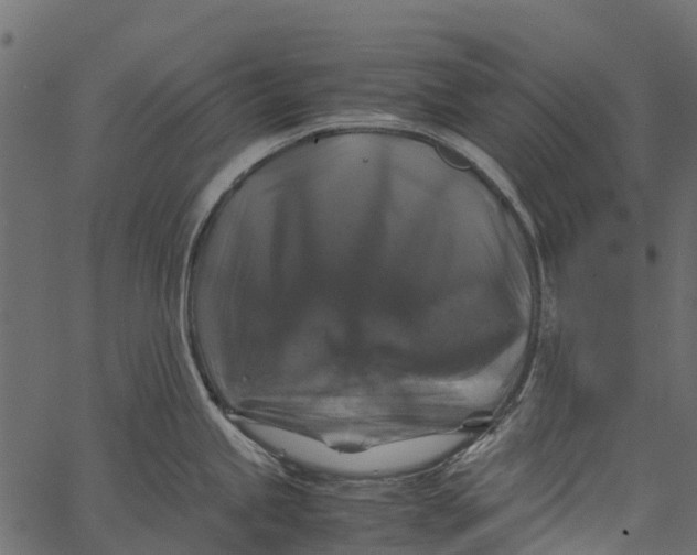 X0000062621245200601111026