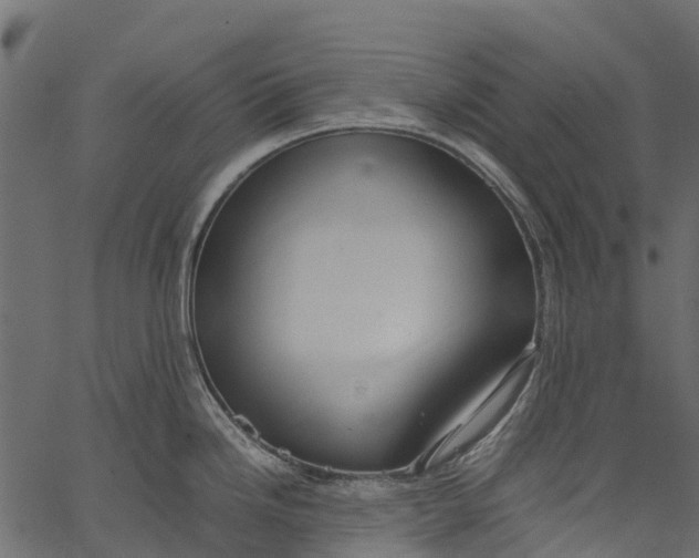 X0000062621246200601111026