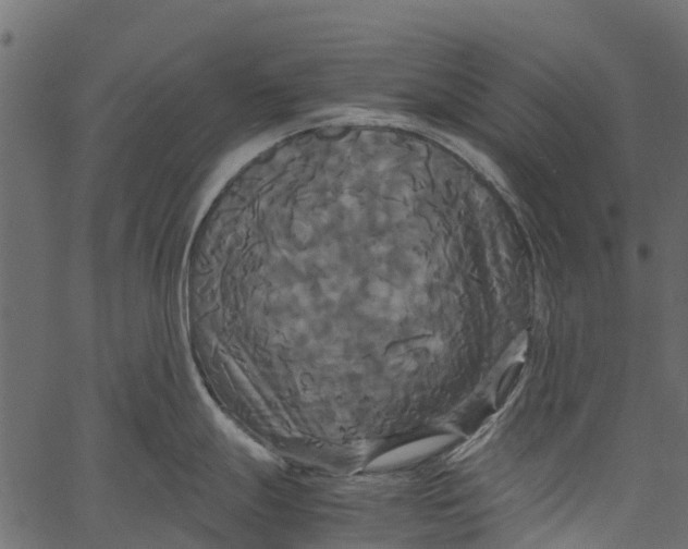 X0000062621247200601111026