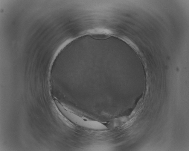 X0000062621248200601111026