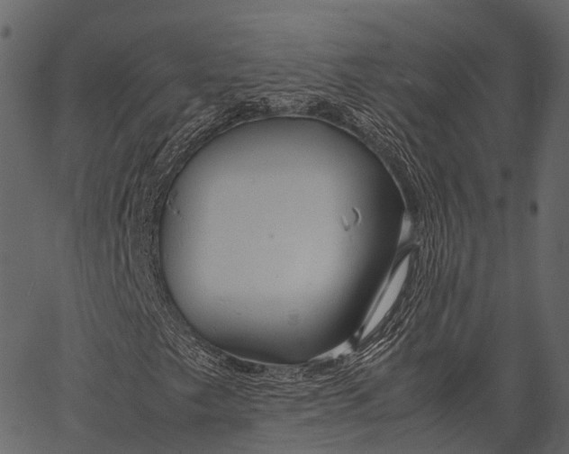 X0000062621249200601111025