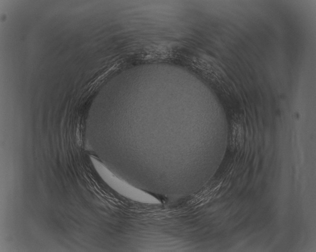 X0000062621250200601111025