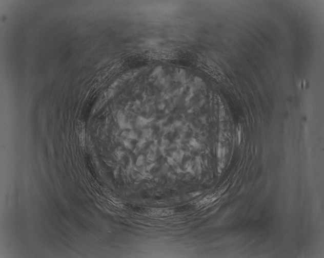 X0000062621251200601111025