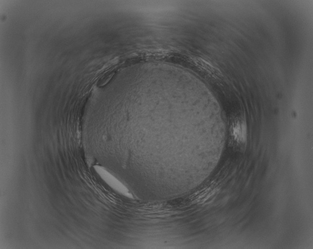 X0000062621252200601111025