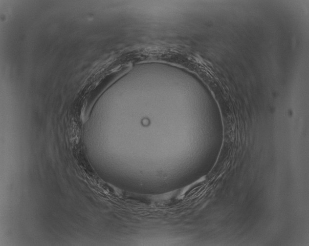 X0000062621253200601111025