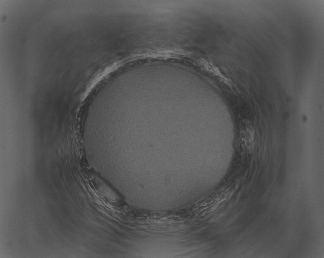 X0000062621256200601111025