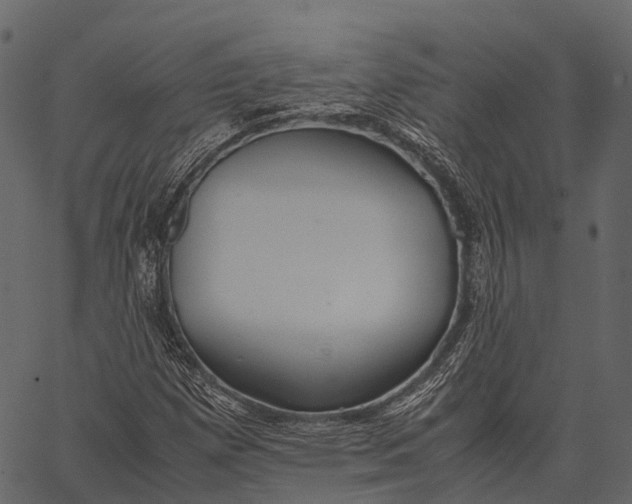 X0000062621257200601111025