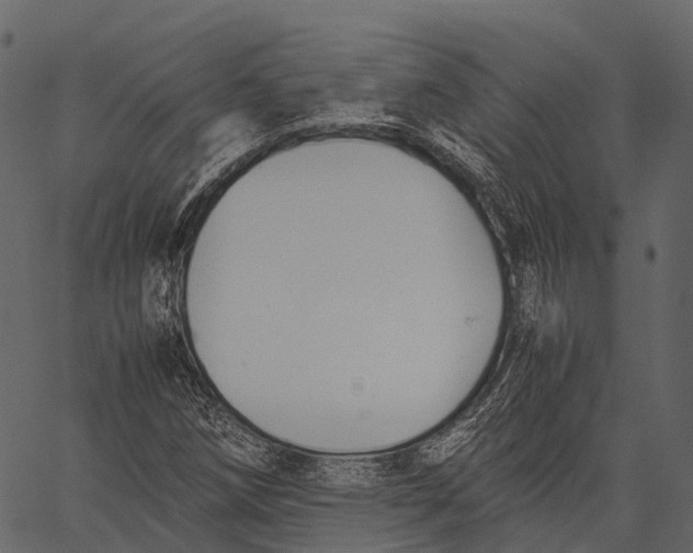 X0000062621258200601111025