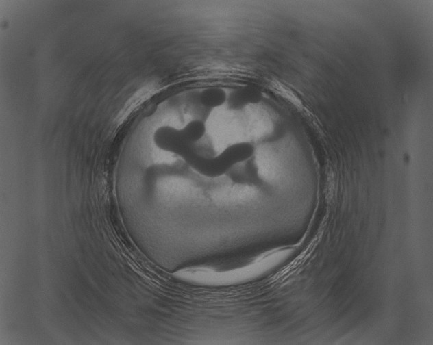 X0000062621259200601111025