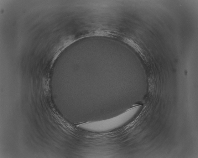 X0000062621260200601111025