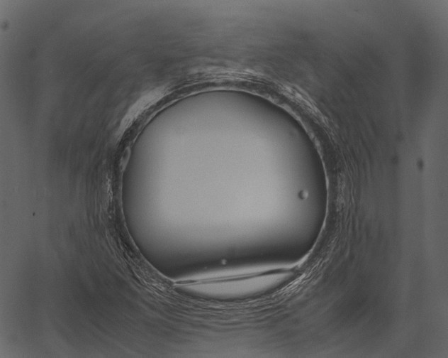 X0000062621261200601111025