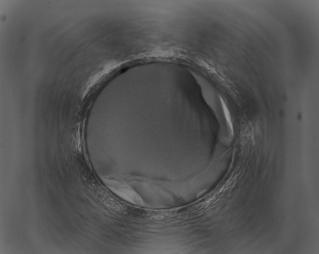 X0000062621262200601111025