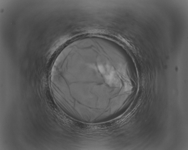 X0000062621263200601111025