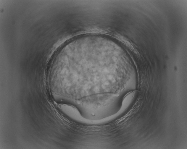 X0000062621264200601111025