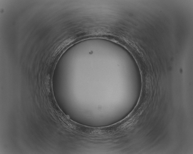 X0000062621265200601111025