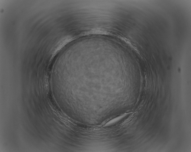 X0000062621266200601111025