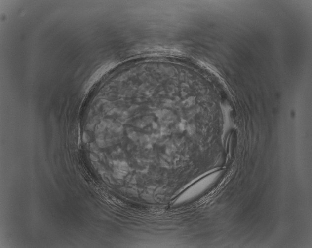 X0000062621267200601111025