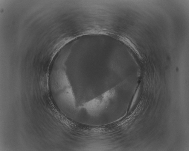 X0000062621268200601111025