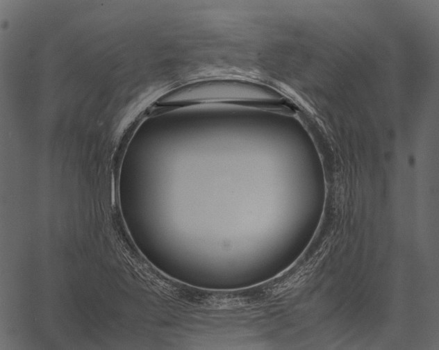 X0000062621269200601111025