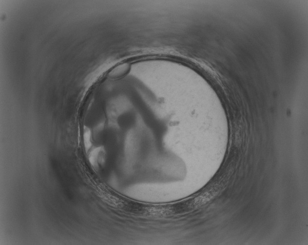 X0000062621271200601111025