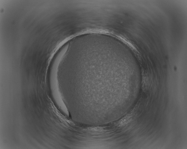 X0000062621272200601111025