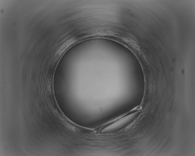 X0000062621273200601111025