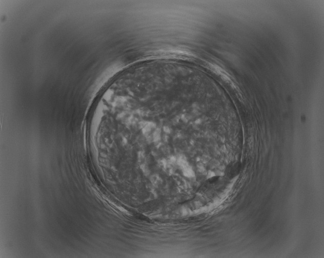 X0000062621275200601111025