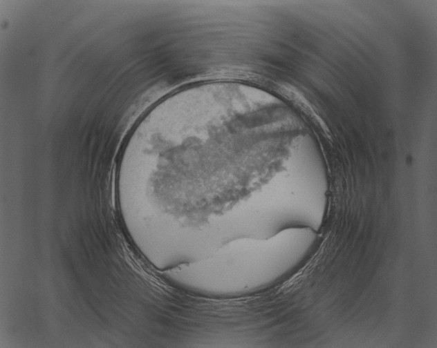 X0000062621276200601111025