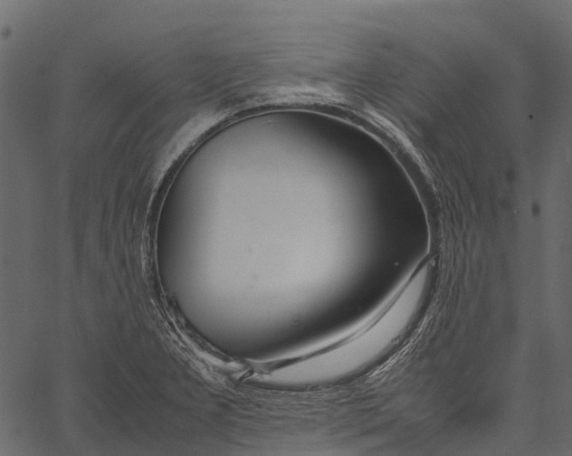 X0000062621277200601111025