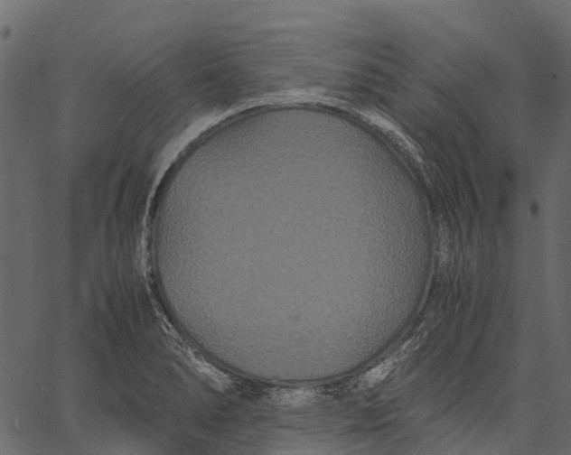 X0000062621278200601111025