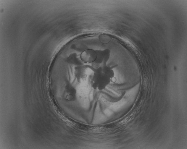 X0000062621279200601111025