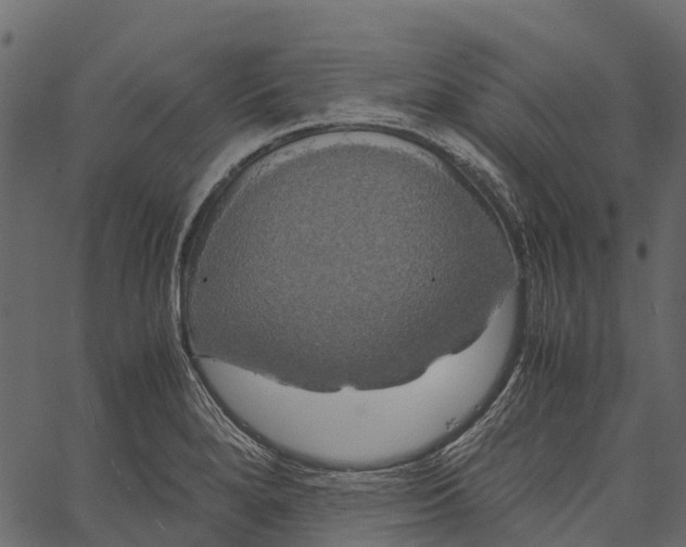 X0000062621280200601111025