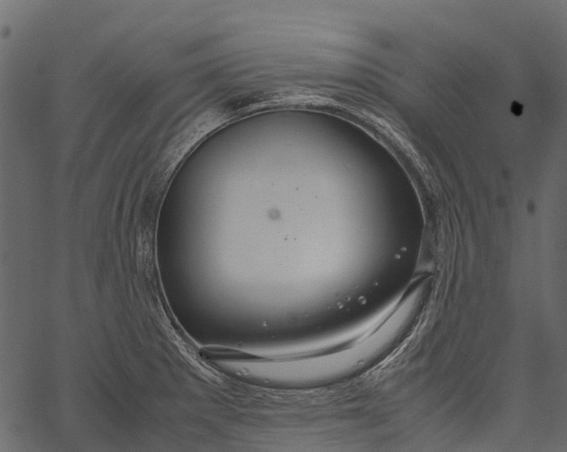 X0000062621281200601111025