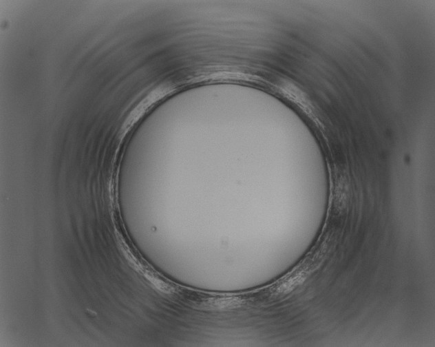 X0000062621282200601111025