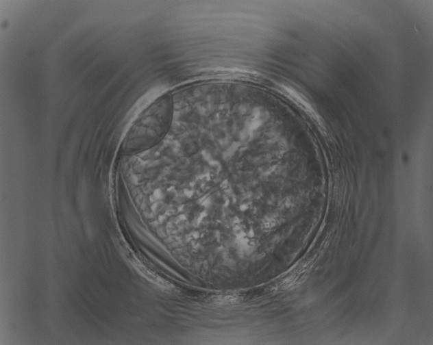 X0000062621283200601111025