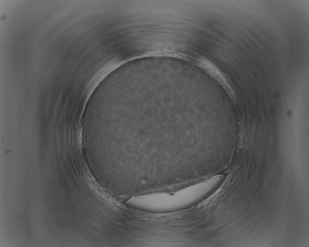 X0000062621284200601111025