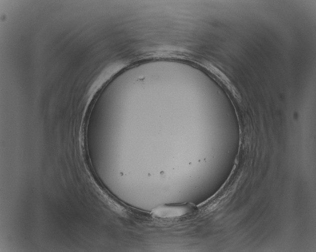 X0000062621285200601111025