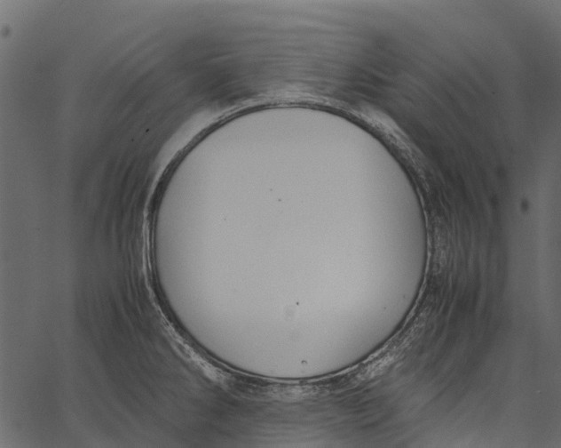 X0000062621286200601111025