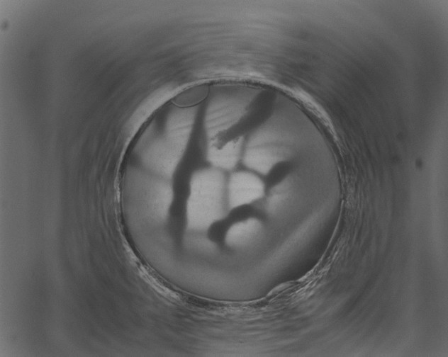 X0000062621287200601111024