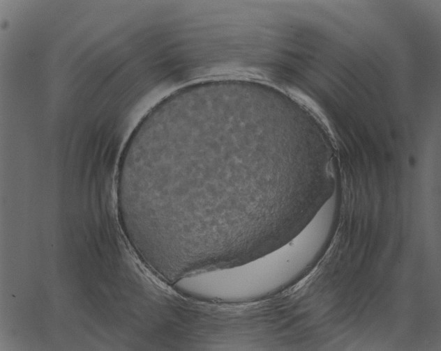 X0000062621288200601111024