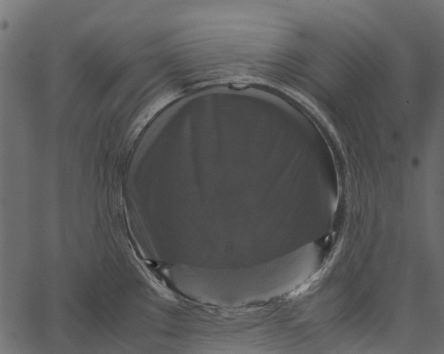 X0000062621289200601111024