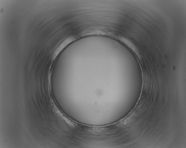 X0000062621290200601111024