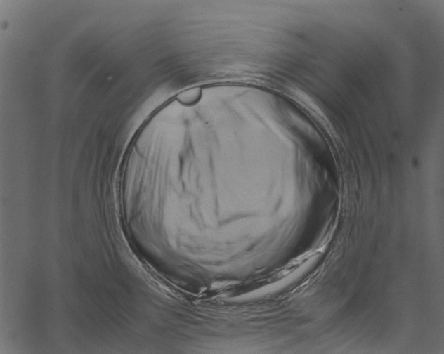 X0000062621291200601111024