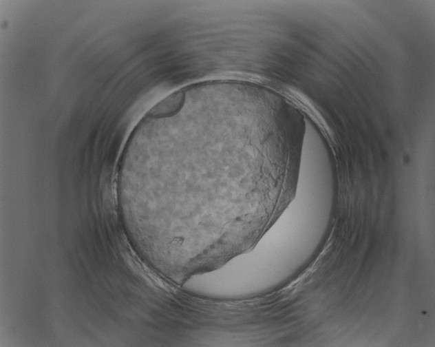 X0000062621292200601111024