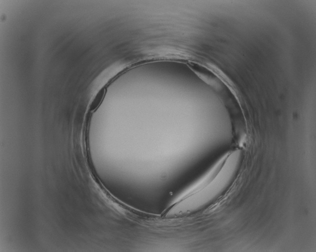 X0000062621293200601111024